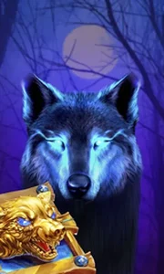 Book Of The Night Wolf