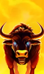 Big Wild Buffalo 2